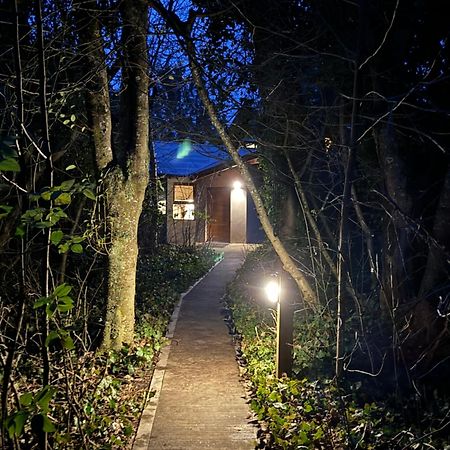 Altos Del Sur Cabanas De Montana El Bolsón Εξωτερικό φωτογραφία