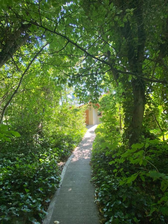 Altos Del Sur Cabanas De Montana El Bolsón Εξωτερικό φωτογραφία