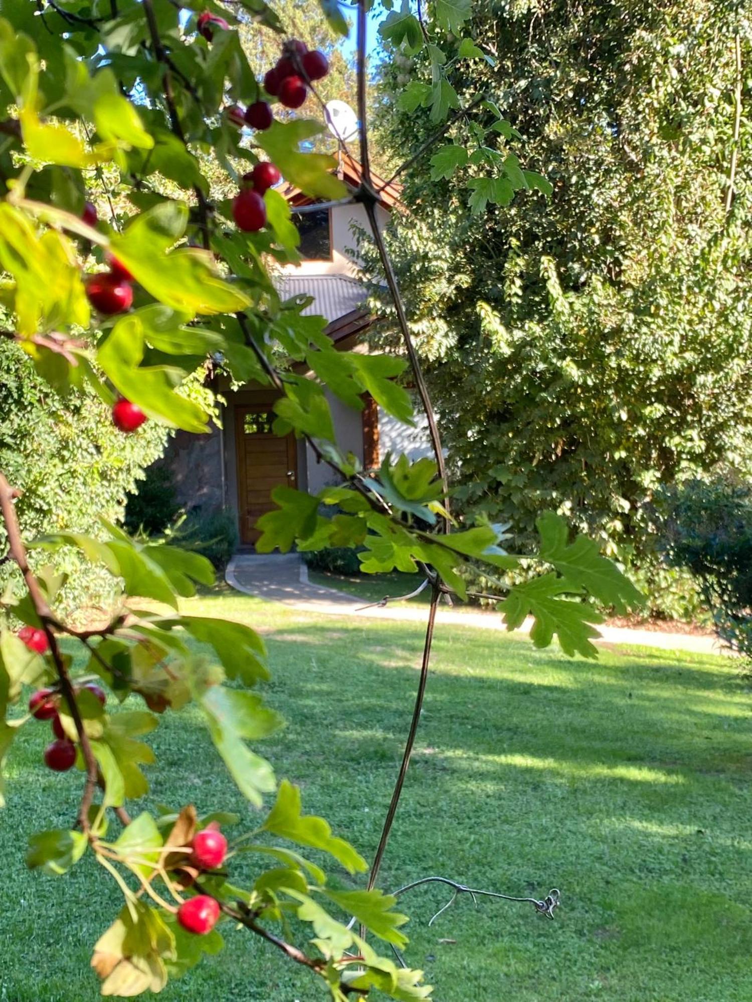 Altos Del Sur Cabanas De Montana El Bolsón Εξωτερικό φωτογραφία
