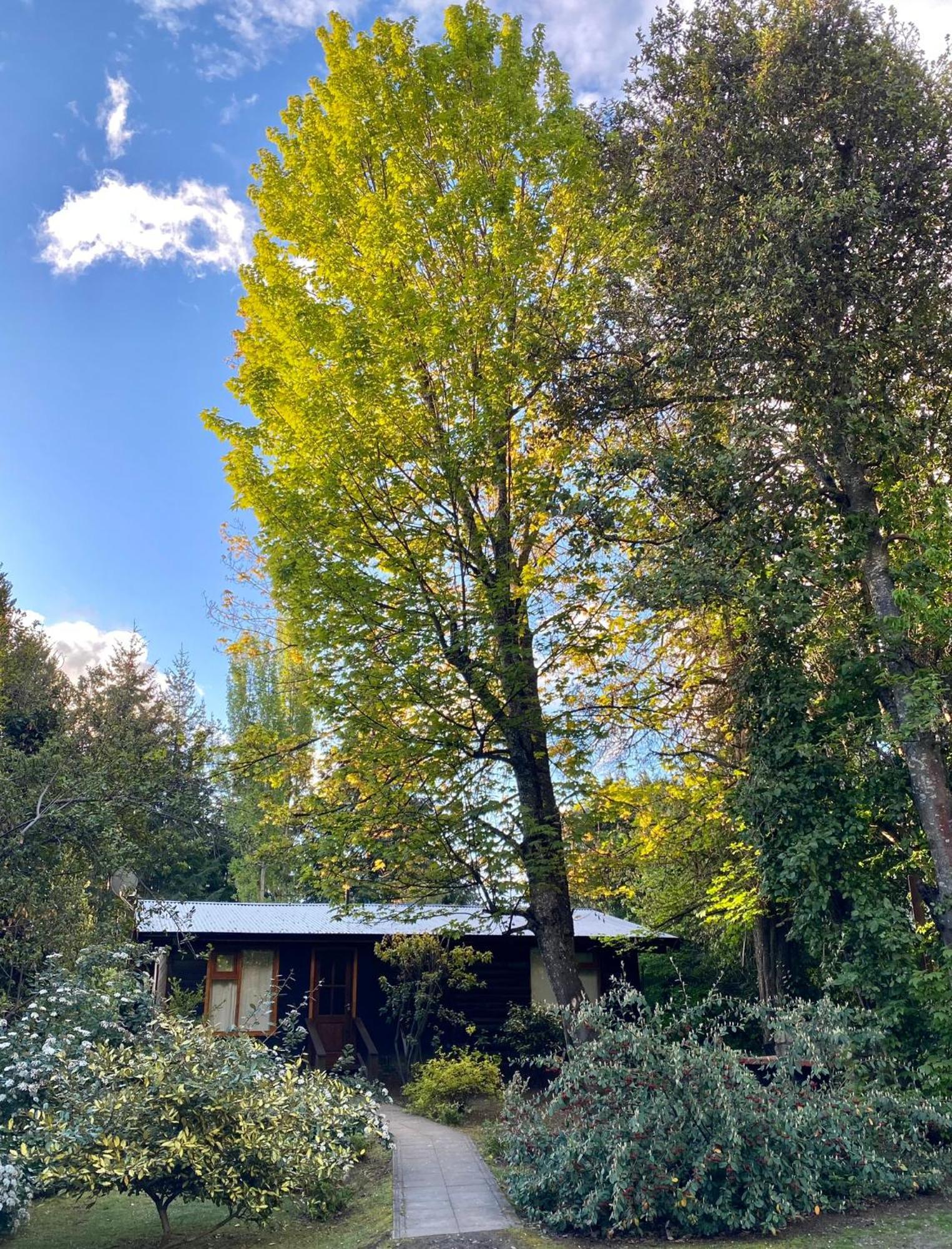 Altos Del Sur Cabanas De Montana El Bolsón Εξωτερικό φωτογραφία