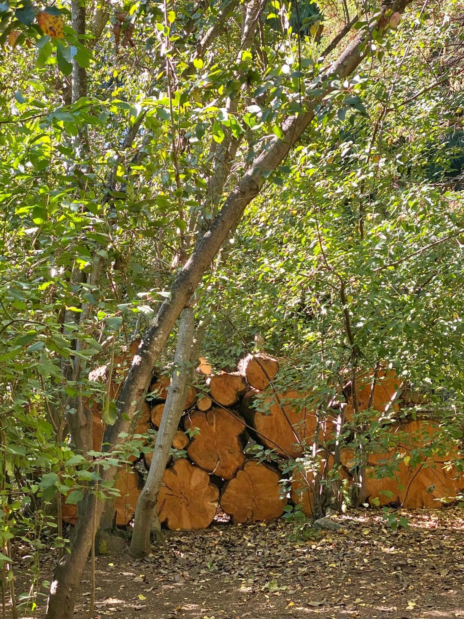 Altos Del Sur Cabanas De Montana El Bolsón Εξωτερικό φωτογραφία