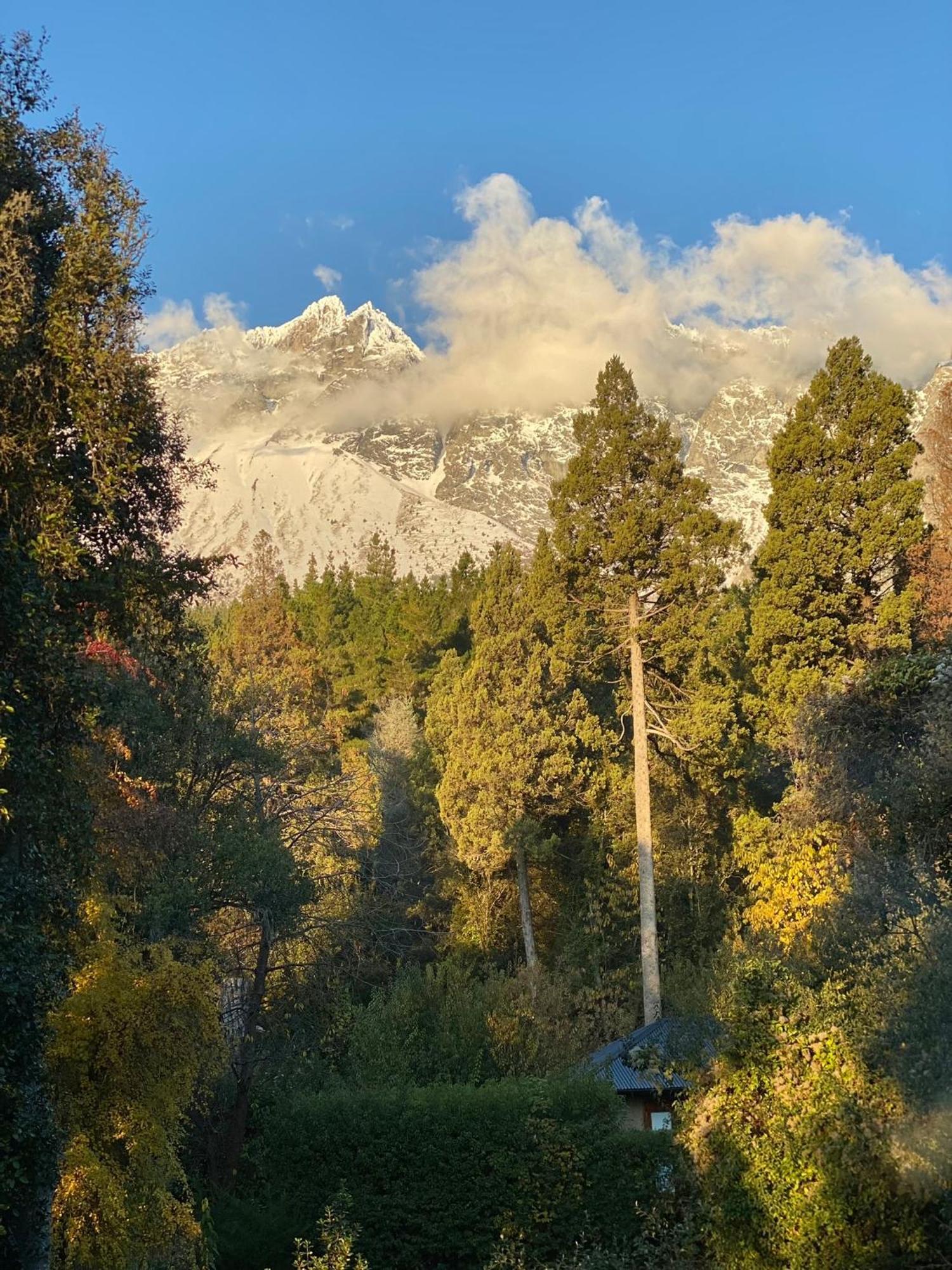 Altos Del Sur Cabanas De Montana El Bolsón Εξωτερικό φωτογραφία