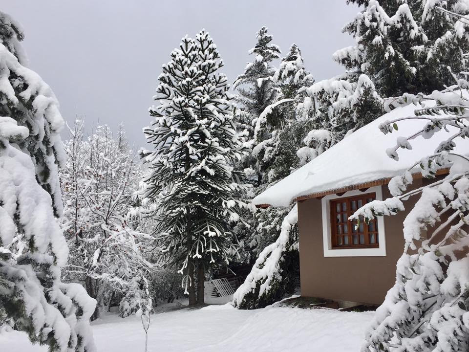 Altos Del Sur Cabanas De Montana El Bolsón Εξωτερικό φωτογραφία