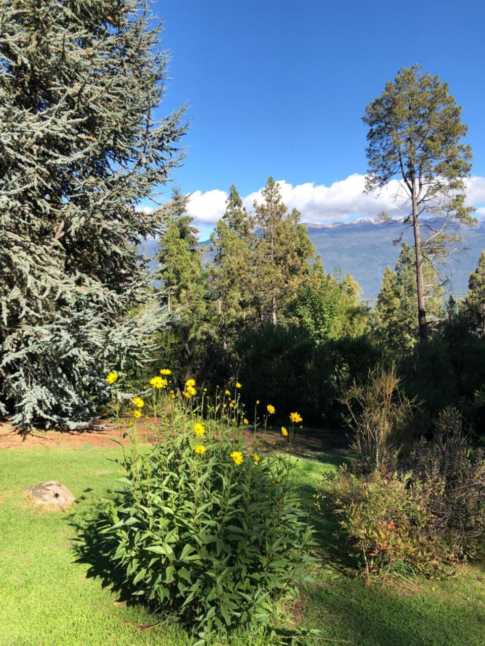 Altos Del Sur Cabanas De Montana El Bolsón Εξωτερικό φωτογραφία